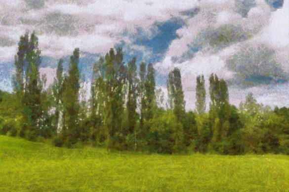 daniel-mansfield-impressionist-fieldandtrees